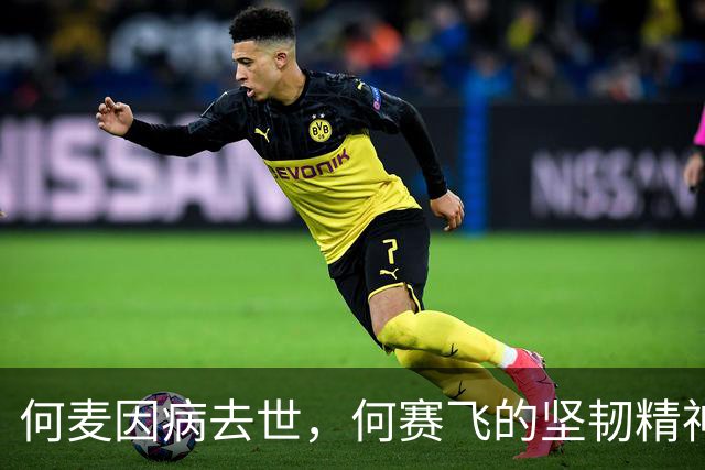 何麦因病去世，何赛飞的坚韧精神再次引发关注